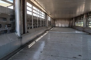 Pezzaioli N/A 2002 - RBA 31 - Cattle transport obrazek 18