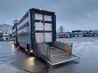 DAF XF 440 2015 - SuperSpaceCab 6x2*4 - Cuppers 1-2-3 deck Livestock + Cuppers 3 deck trailer 2009 obrazek 8