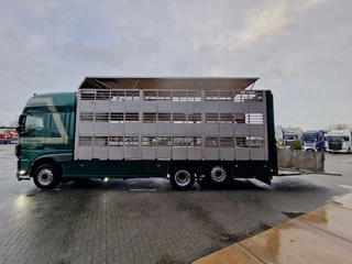 DAF XF 440 2015 - SuperSpaceCab 6x2*4 - Cuppers 1-2-3 deck Livestock изображение 4