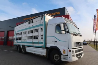 Volvo FH 2006 - 480 FH 480 Cattle transport image 31