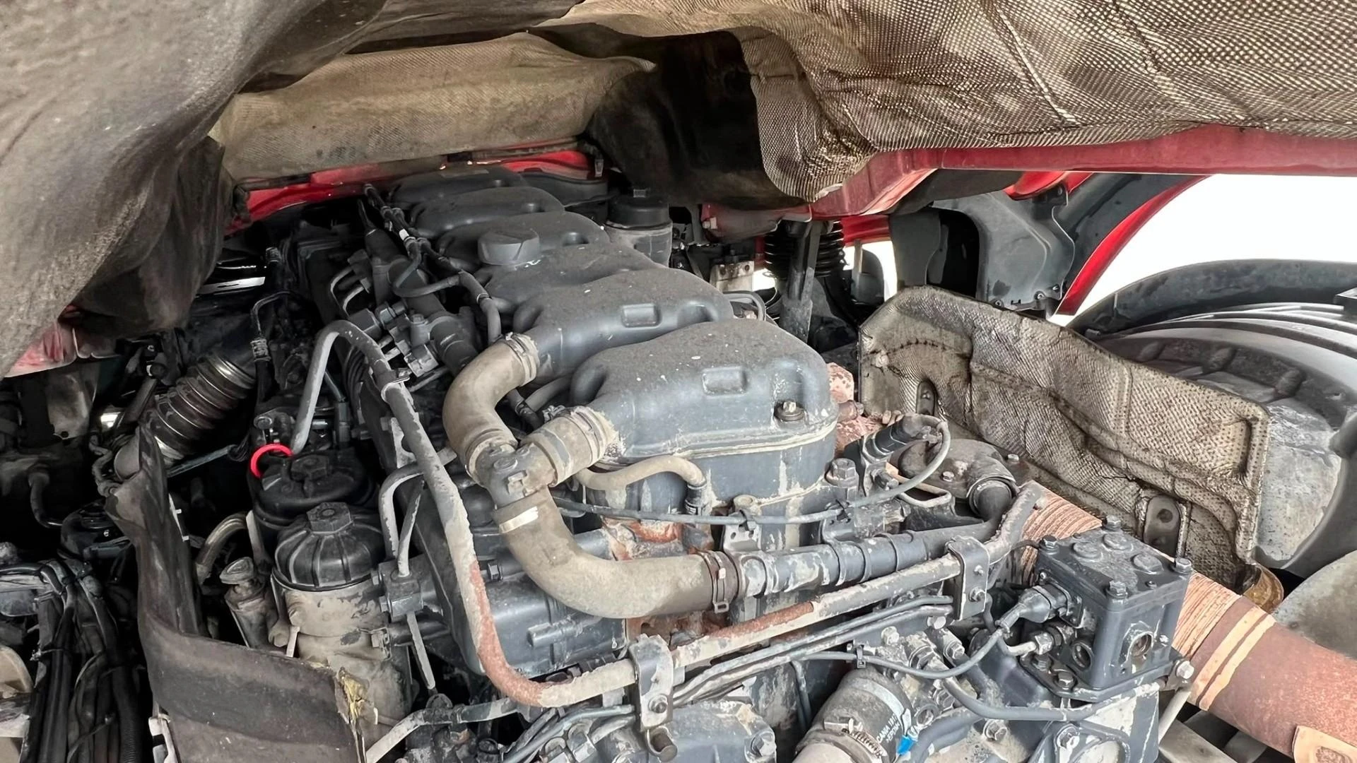 Scania G 2019 - 450 Bild 19