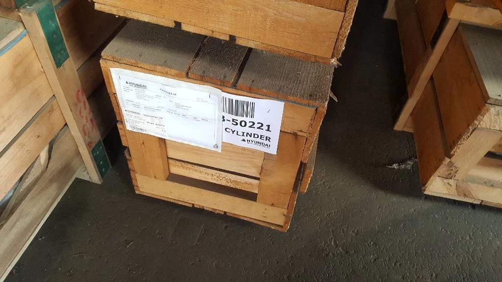 Hyundai - Boom Cylinder LH - Robex 450 LC-7, 31NB-50221 afbeelding 1