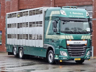 DAF XF 440 2015 - SuperSpaceCab 6x2*4 - Cuppers 1-2-3 deck Livestock imagen 12