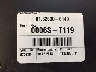MAN TGS 2018 - 81.62630-6149 DEURPANEEL bild 3
