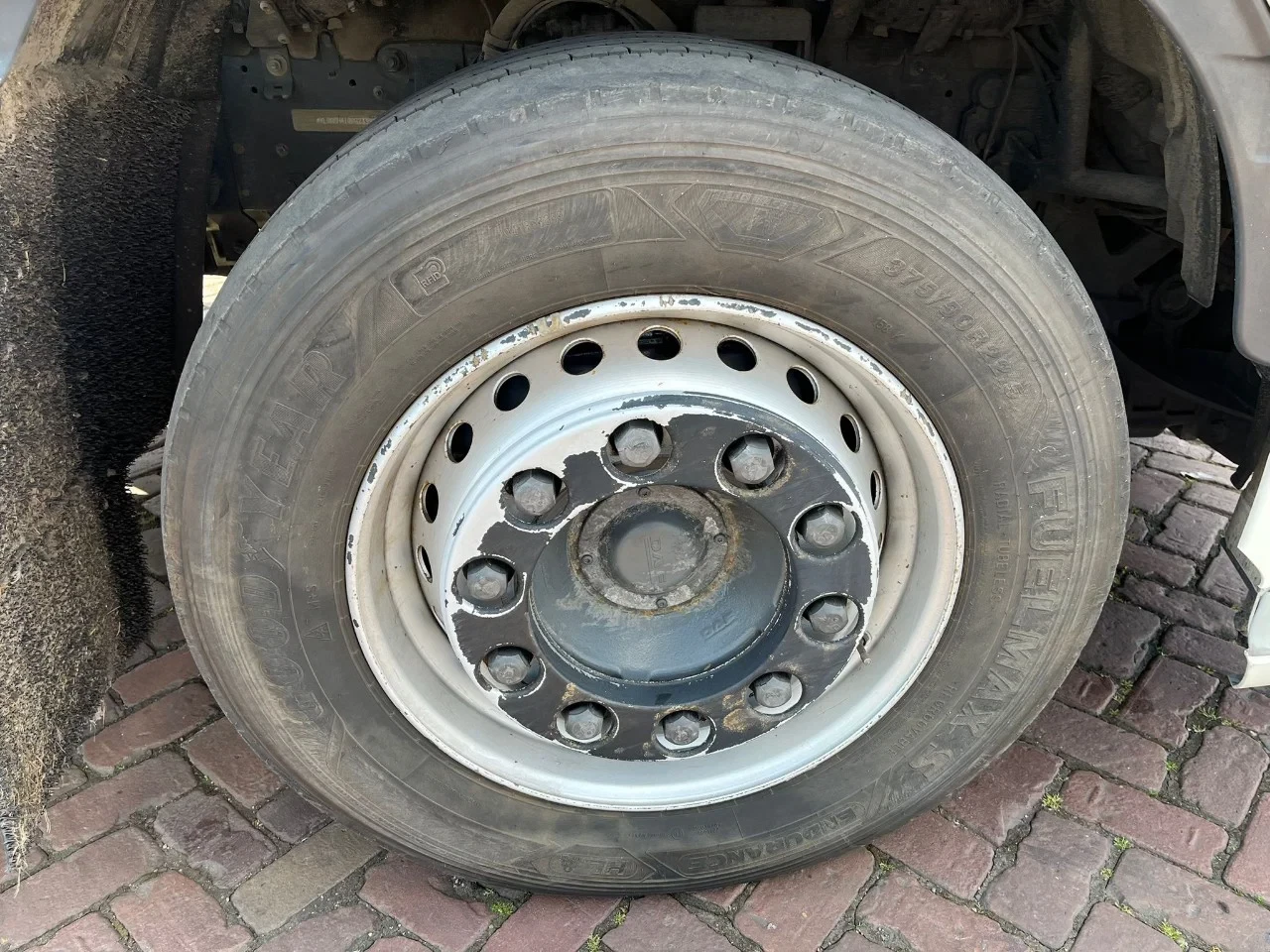 DAF XF 450 2019 - FAN immagine 42
