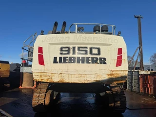 Liebherr N/A 2019 - R 9150 B zdjecie 7