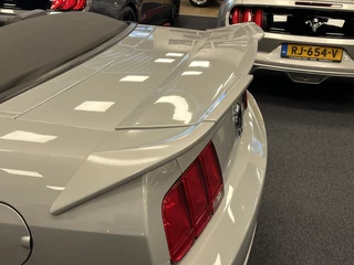 Ford Mustang 2006 - Convertible 4.6i V8 GT 335PK Roush Limited Nr. 05-2218 zdjecie 38