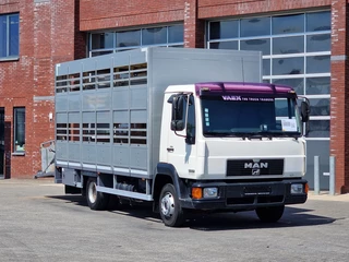 MAN TGL 1998 - 8.240 - 2 deck livestock Bekkers - Loadlift - Manual gearbox - Full steel te koop