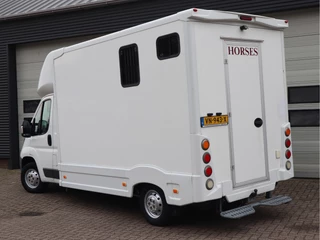 Peugeot Boxer 2015 - 335 2.2 HDI 131pk Paardenwagen - Cruise - Trekhaak - Airco obrazek 5