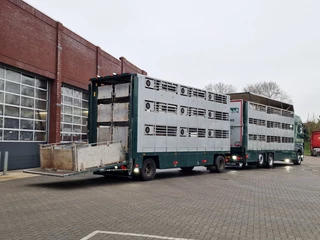 DAF XF 440 2015 - SuperSpaceCab 6x2*4 - Cuppers 1-2-3 deck Livestock + Cuppers 3 deck trailer 2009 obrazek 5