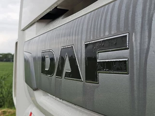 DAF N/A 2019 - XF 530 obrazek 21