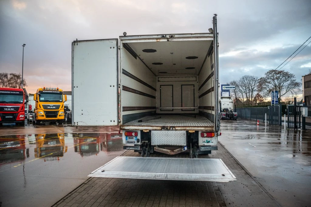 Renault 2013 - PREMIUM 300DXI+POUSSIN/CHICKEN/KUIKEN/KÛKEN+DHOLLANDIA zdjęcie 5
