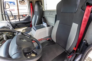 Renault N/A 2017 - D14 250 + DHOLLANDIA obrazek 24