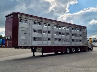Pezzaioli N/A 2025 - New - 3 deck livestock 100M2 - Water & Ventilation - Lifting floors - Lifting roof - NEW 2025 obrazek 4