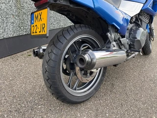 Triumph N/A 1996 - SPRINT 900 image 11