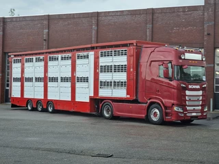 Finkl N/A 2008 - SAV35 - 3 deck Livestock - Water & Ventilation - Lifting Floors - Lifting roof image 48