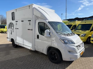 Opel Movano 2023 - Paardenwagen/Veewagen Hengsten Uitvoering Airco Cruisecontrol NIEUW image 4