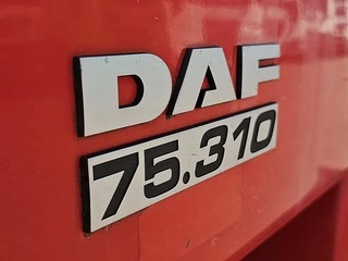 DAF N/A 2008 - CF 75.310 obrazek 15