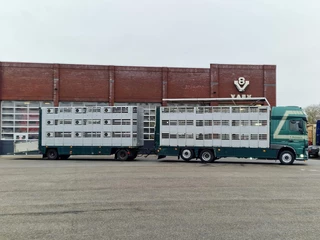 DAF XF 440 2015 - SuperSpaceCab 6x2*4 - Cuppers 1-2-3 deck Livestock + Cuppers 3 deck trailer 2009 obrazek 3