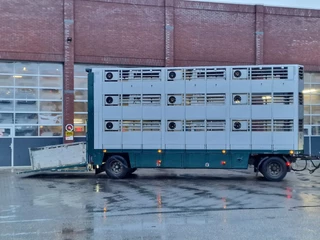 CUPPERS LVA 10-10 AL 2009 - 3 deck livestock trailer - BPW Axle - Folding roof zdjecie 18