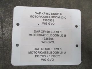 DAF XF 460 - 1905953 / 1926606 / 1905927 KABELBOOM MX13 EURO 6 imagem 2 miniatura