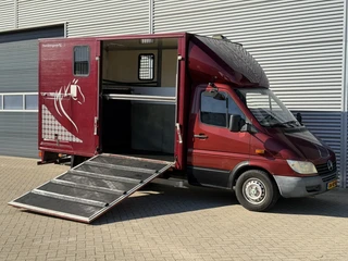 Mercedes-Benz Sprinter 2001 - 308CDI Paardenwagen/Veewagen/Horsetruck Automaat afbeelding 2 miniatuur