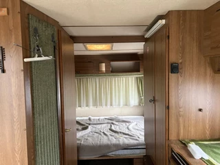 Munsterland 550 1980 - Luxus immagine 11