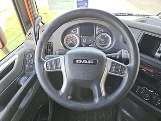 DAF N/A 2018 - XF 450 obrazek 12