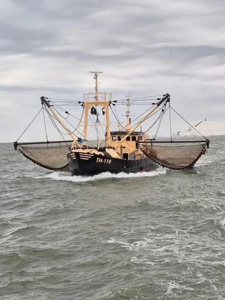 DEO VOLENTE Fishing boat - Eurocutter 1983 - N/A afbeelding 1