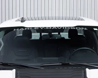 Ford F-150 2019 - (USA) Harley Davidson V8 5.0L Tuscany Motor Co. imagem 26