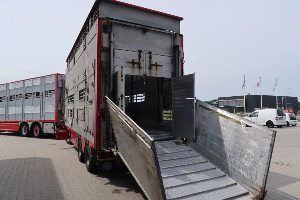 Pezzaioli 2002 - RBA31 - 2002 - Livestock transport - 2 Floors afbeelding 8