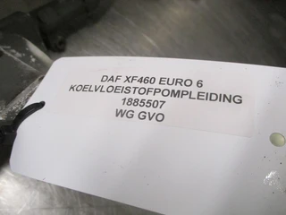 DAF - XF106 1885507 KOELVLOEISTOFPOMPLEIDING EURO 6 imagem 2 miniatura