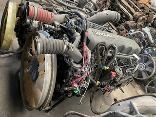 DAF N/A 2013 - MX-13 303 H1 immagine 8