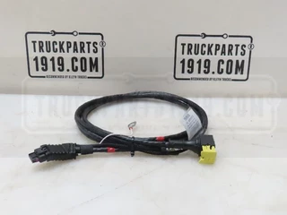DAF N/A - 2124968 Kabelboom ECU BEM immagine 1