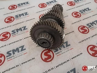 ZF N/A 2017 - Occ primaire as ZF afbeelding 5
