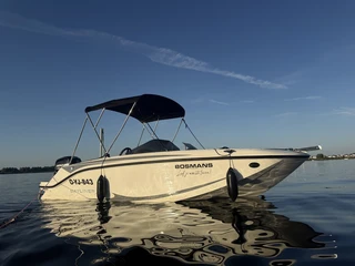 Bayliner M17 speedboot 100 PK mercury DEMO 2026 2026 afbeelding 2 miniatuur
