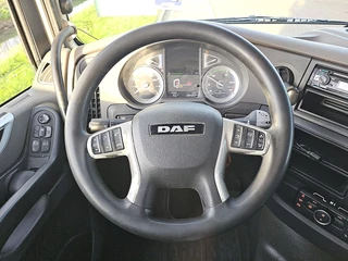 DAF XF480 2019 - N/A immagine 10