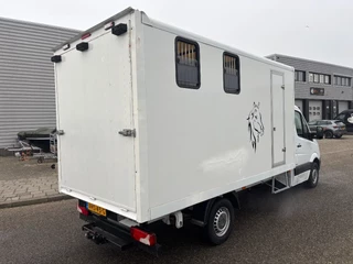 Mercedes-Benz Sprinter 2014 - 316CDI Paardenwagen/schapen pony's/ en klein vee /Veewagen Airco Cruisecontrol Trekhaak immagine 4