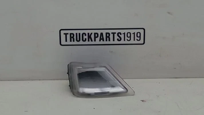 DAF - Body & Chassis Parts Interieurlamp, instapkuip afbeelding 1