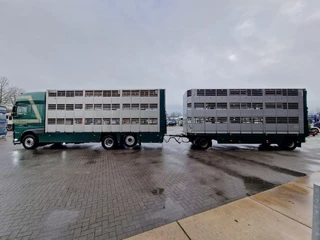 DAF XF 440 2015 - SuperSpaceCab 6x2*4 - Cuppers 1-2-3 deck Livestock + Cuppers 3 deck trailer 2009 obrazek 7