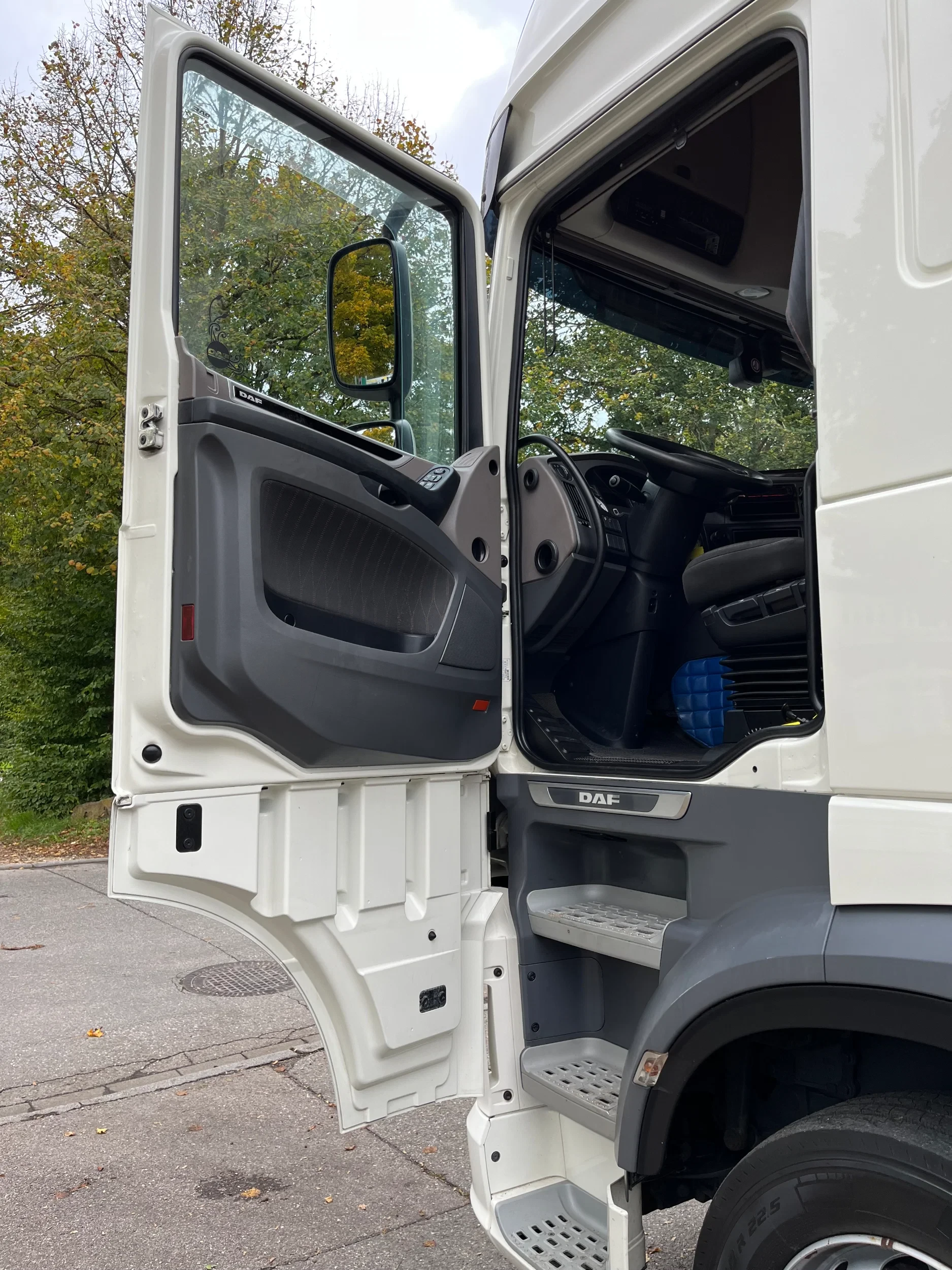 DAF XF 106.450 2019 - FLEISCHKOFFER, 6x2, Rohrbahnen, E6D afbeelding 17