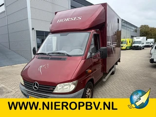 Mercedes-Benz Sprinter 2001 - 309CDI Paardenwagen/Horsetruck/Veewagen Automaat te koop