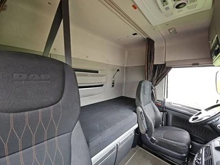 DAF N/A 2019 - XF 450 bild 15