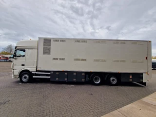 DAF XF 2017 - 440 SuperSpaceCab 6x2*4 - 2 deck Closed Livestock - 40M2 - Filtersystem immagine 4