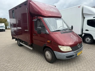 Mercedes-Benz Sprinter 2001 - 309CDI Paardenwagen/Horsetruck/Veewagen Automaat afbeelding 3 miniatuur