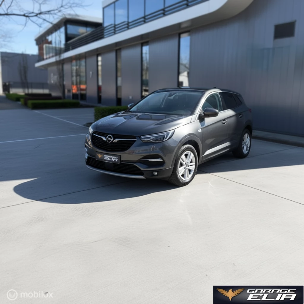 Opel Grandland X 2021 - 1.2 Turbo Business Elegance| Navi | PDC Bild 2