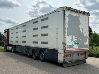Berdex NO BERDEX HMK 4 stock livestock trailer SPF 2014 - N/A obrazek 4