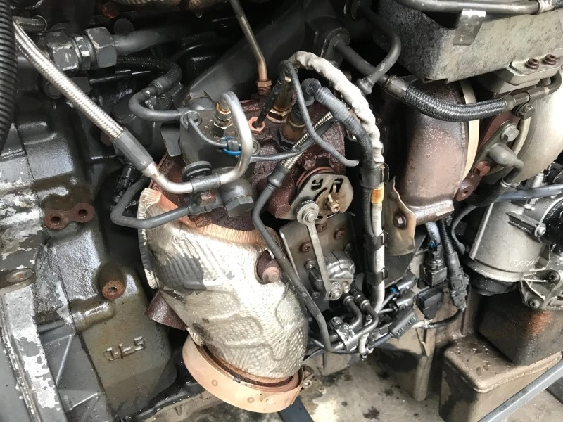 DAF 2014 - MX-11 291 H1 immagine 9