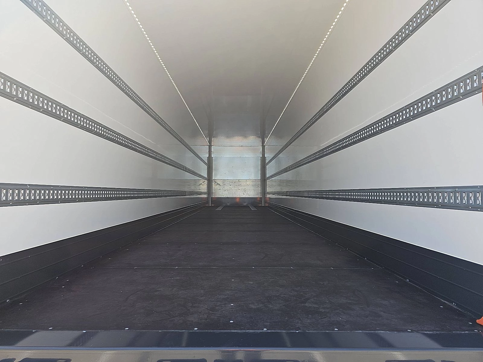 SYSTEM TRAILERS 2026 - HEAVY DUTY PLYWOOD immagine 6