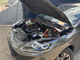 Ford Kuga 2023 - 2.5 PHEV ST-Line imagen 6